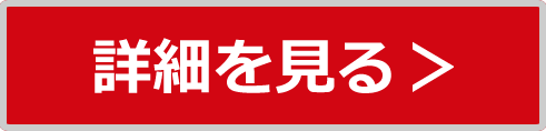詳細を見る